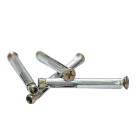 Ekofiks vijci 10x72 100/1