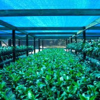 Mreža za hlad 1M/100M dark40