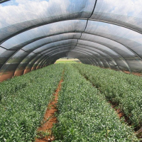 Mreža za hlad 6M/100M dark40