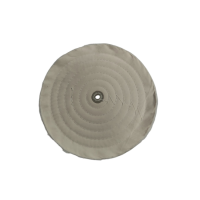 Disk za poliranje 12x5