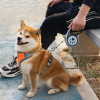 Povodac daljinski M1176