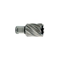 BURGIJA WELDON WS19 FI 18/25