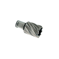 BURGIJA WELDON WS19 F20/25MM