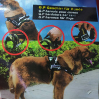 Povodac komplet platno M1129