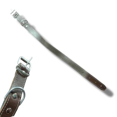 Ovratnik za psa L-512