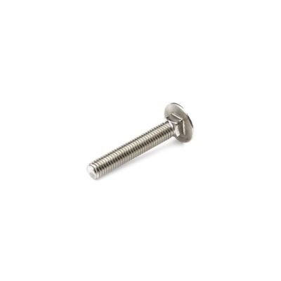 Inox Torban vijak M6x40