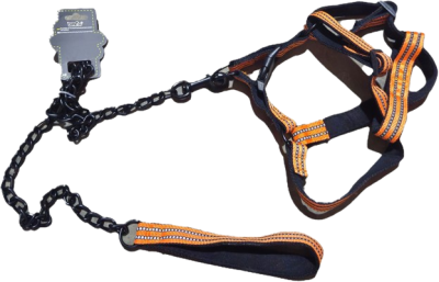 Povodac platno 2.5 M1125