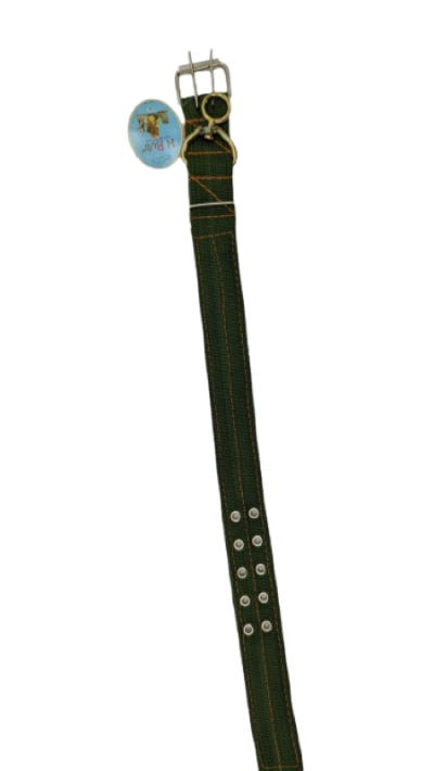 Kaiš za psa T 70cm